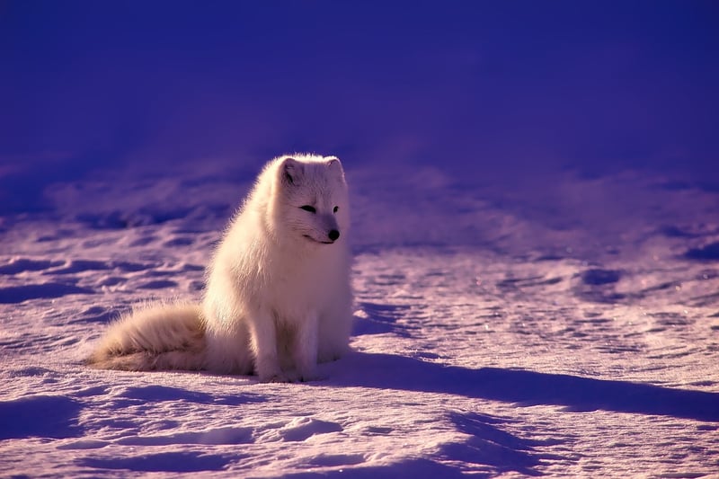 Svalbard, Norway